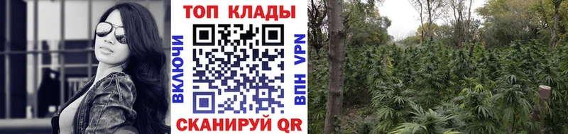 Цена Зарайск Конопля A PVP АМФЕТАМИН Меф мяу мяу